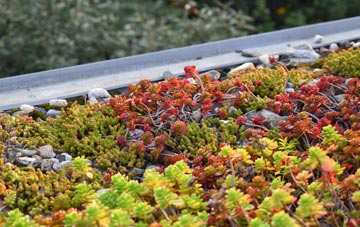 the cost of Keddington Corner green roof installation