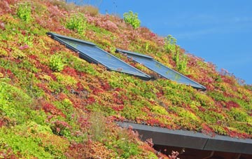Keddington Corner living roof systems