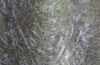 Keddington Corner fibreglass roof work